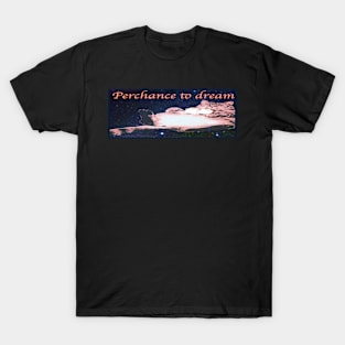 Perchance to Dream Cat in space T-Shirt